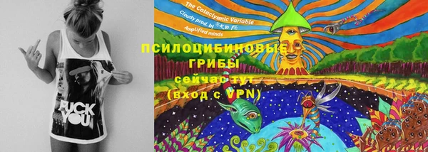 ешки Арсеньев