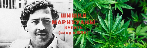 ешки Арсеньев